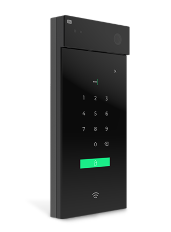 2N® IP Style main unit, secured